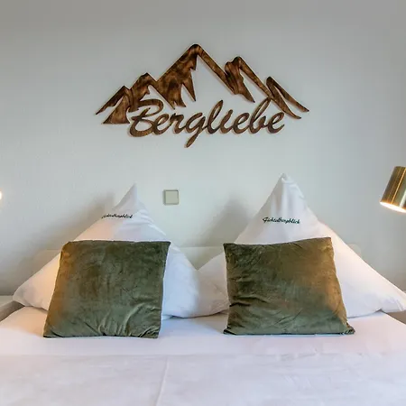 Apartment Bergliebe I Balkon I Aufzug I Stellplatz