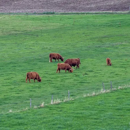 Bergliebe I Balkon I Aufzug I Stellplatz Апартаменты Шварценберг